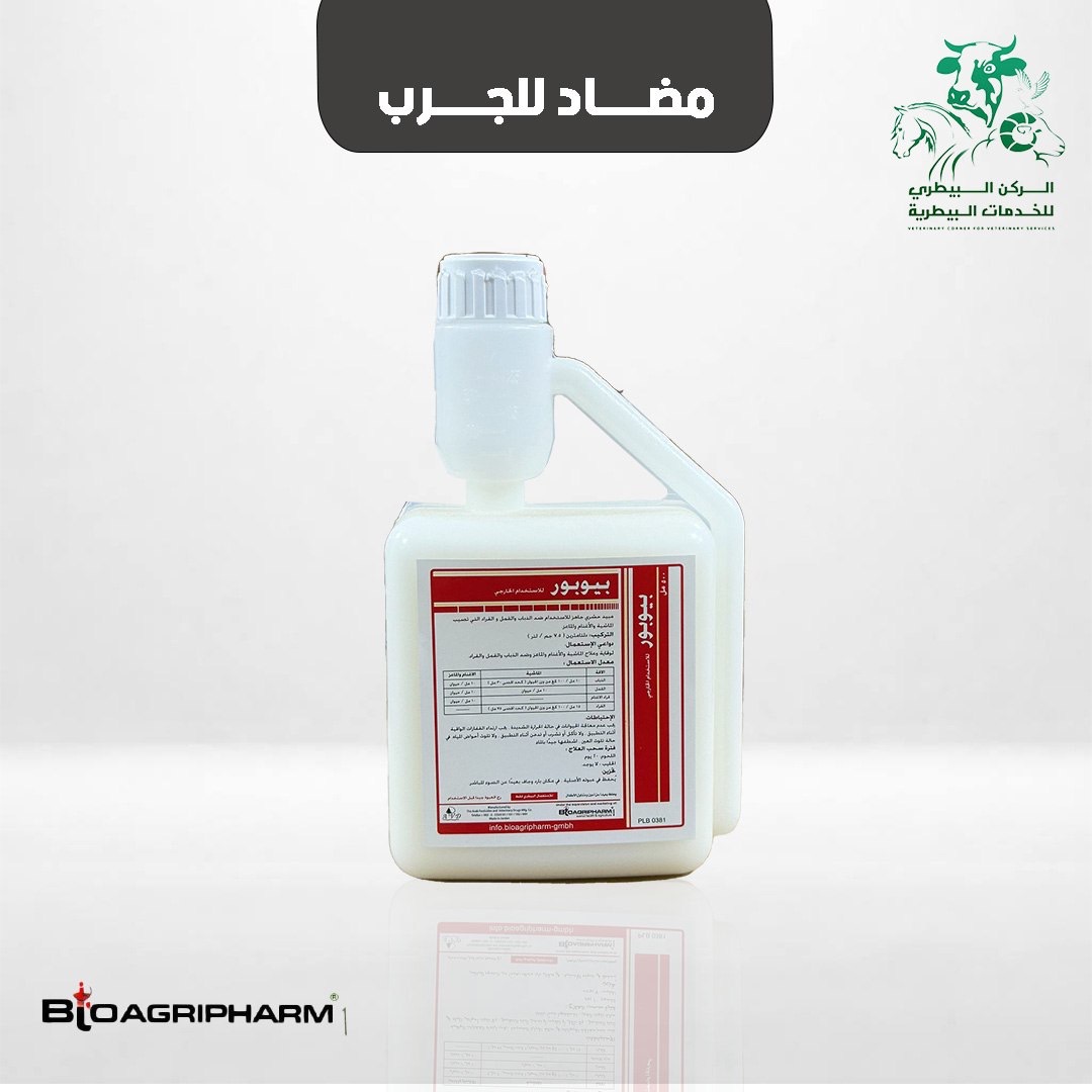 النقطه الزيتيه
